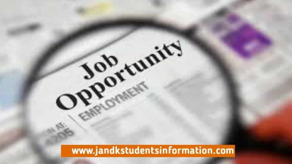 Accounts Manager Jobs In Kashmir
