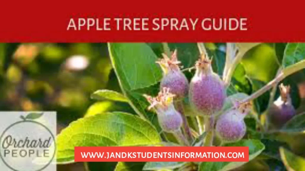 Apple Spray Schedule 2023 For Kashmir Division Download PDF Here